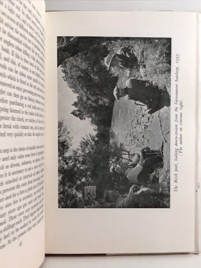 THE LURE OF THE TROUT