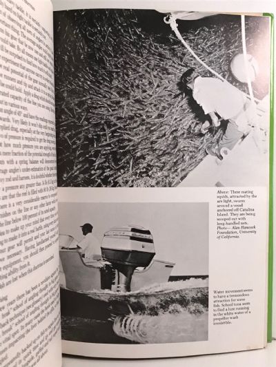 SALTWATER FISHERMAN
