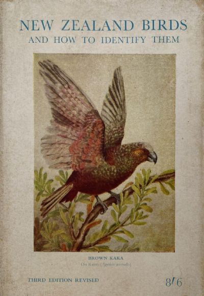 NEW ZEALAND BIRDS and How to Identify Them 