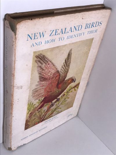 NEW ZEALAND BIRDS and How to Identify Them