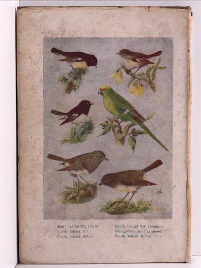 NEW ZEALAND BIRDS and How to Identify Them