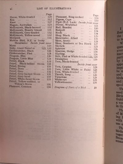 NEW ZEALAND BIRDS and How to Identify Them