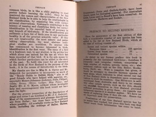 NEW ZEALAND BIRDS and How to Identify Them