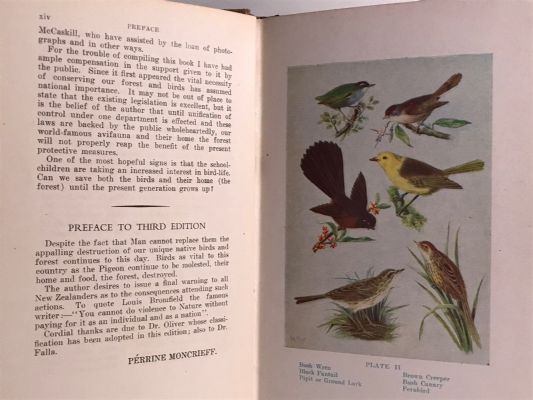 NEW ZEALAND BIRDS and How to Identify Them