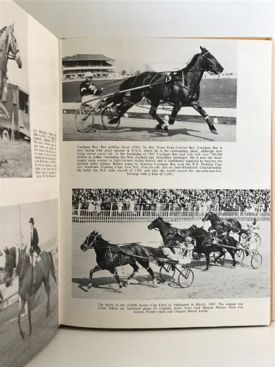 THE NEW ZEALAND HORSEMAN