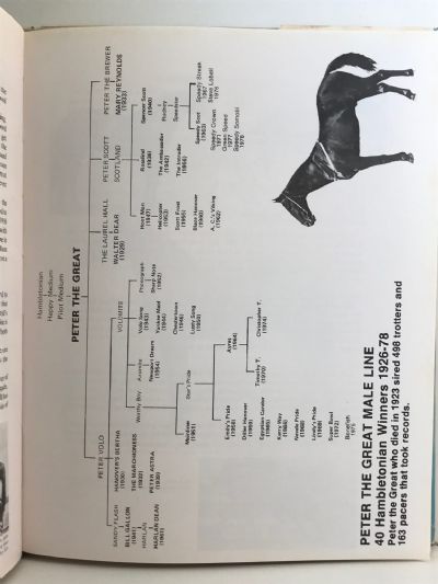 THE ROYDON HERITAGE: 50 Years of Breeding and Harness Racing