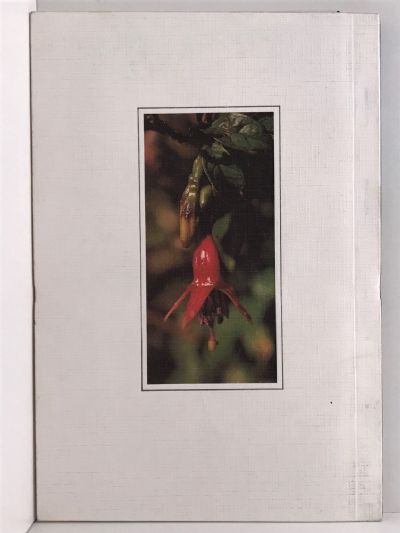 EGMONT NATIONAL PARK 1980