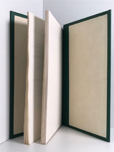 HANDBOOK OF INSTRUCTIONS: Relating to Electrified Services
