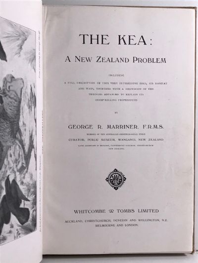 THE KEA: A New Zealand Problem