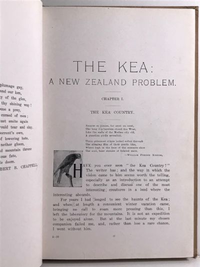 THE KEA: A New Zealand Problem