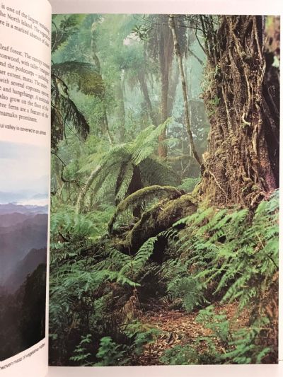 THE WANGANUI RIVER: A scenic, historic and wilderness experience