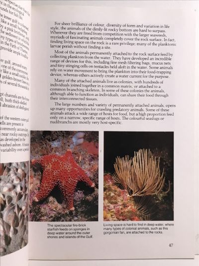 HAURAKI GULF MARITIME PARK: The story of