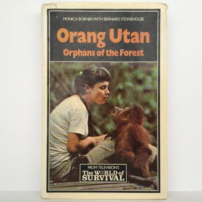 ORANG UTAN: Orphans of the Forest