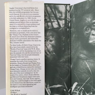 ORANG UTAN: Orphans of the Forest