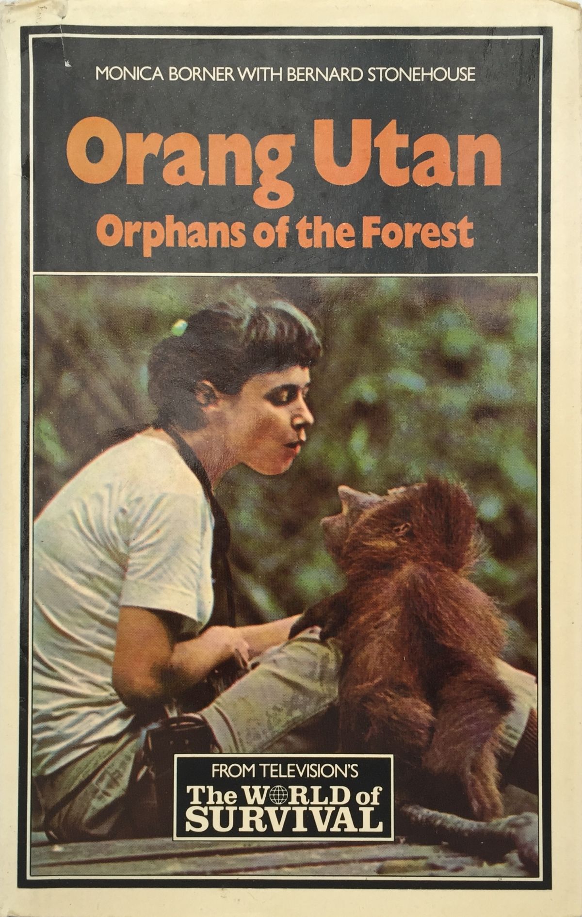ORANG UTAN: Orphans of the Forest