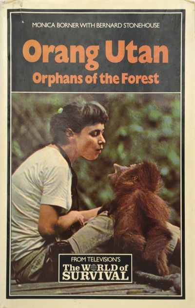 ORANG UTAN: Orphans of the Forest 