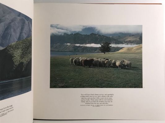 NEW ZEALAND / DRAMATIC LANDSCAPE