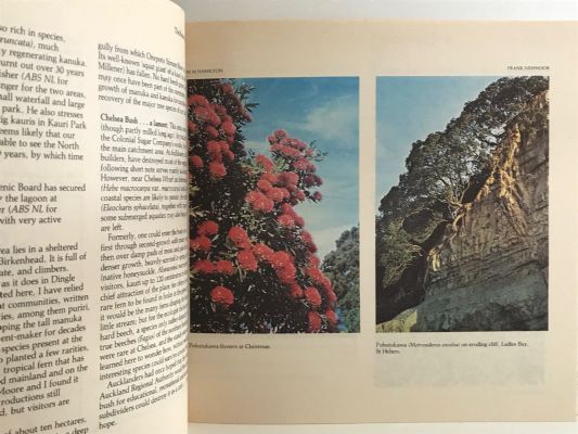 THE BOTANY OF AUCKLAND: A book for all seasons