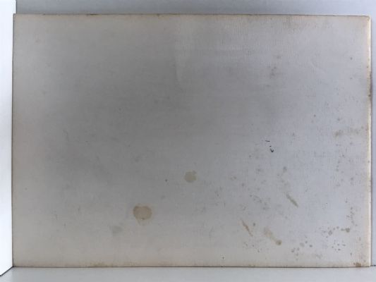 THE FRANZ JOSEF GLACIER: A Photographic Record