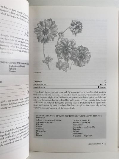 PLACES FOR PLANTS: What to Plant Where in New Zealand