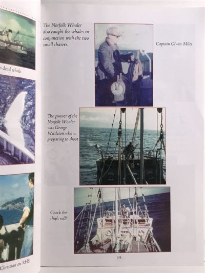 WHALES, BOATS & FISH