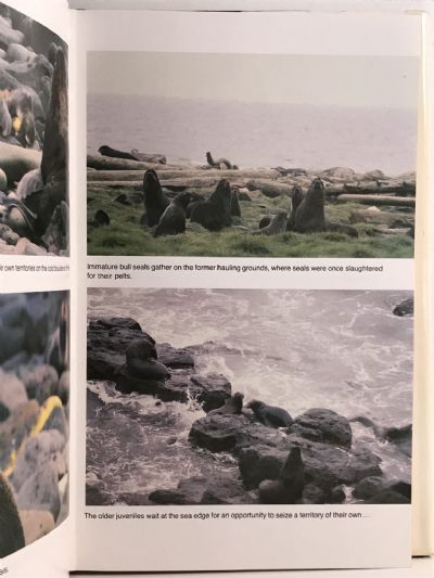 FUR SEAL ISLAND: An Environment In Peril