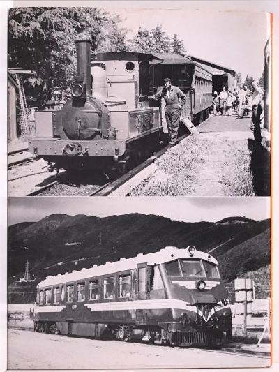 PRESERVED NZR LOCOMOTIVES AND RAILCARS