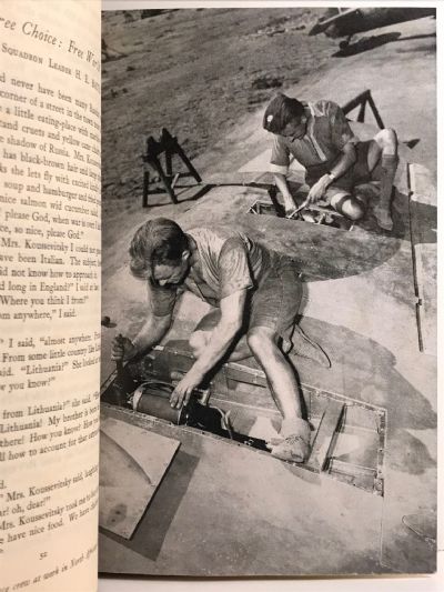 SLIPSTREAM: A Royal Air Force Anthology