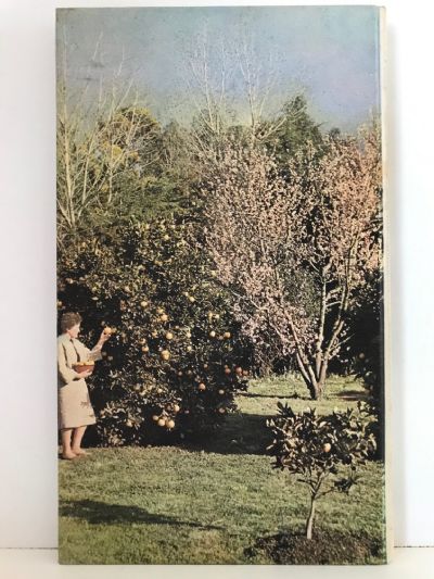 THE HOME ORCHARD