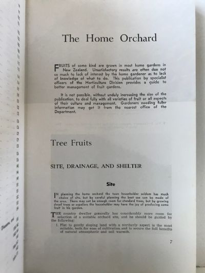 THE HOME ORCHARD