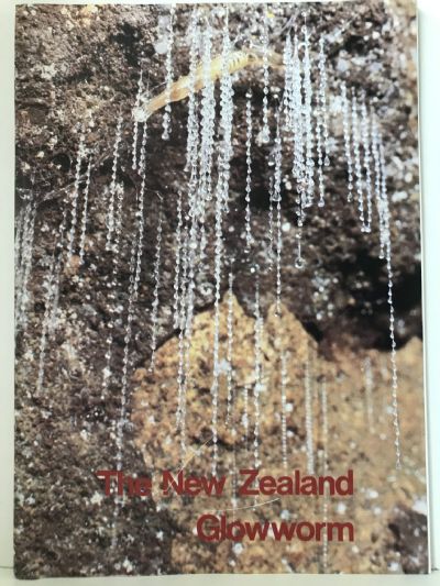 THE NEW ZEALAND GLOWWORM