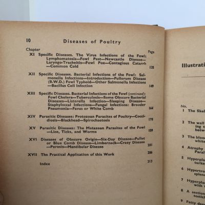 DISEASES OF POULTRY