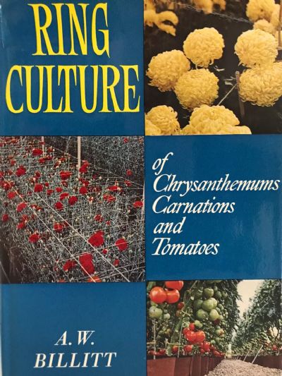 RING CULTURE: of Chrysanthemums Carnations and Tomatoes 