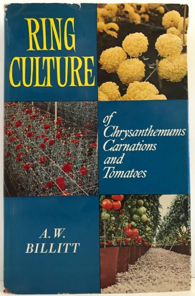 RING CULTURE: of Chrysanthemums Carnations and Tomatoes