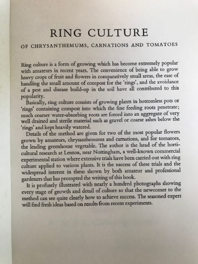 RING CULTURE: of Chrysanthemums Carnations and Tomatoes
