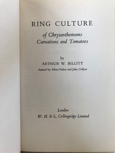 RING CULTURE: of Chrysanthemums Carnations and Tomatoes