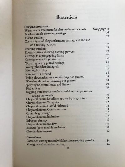 RING CULTURE: of Chrysanthemums Carnations and Tomatoes