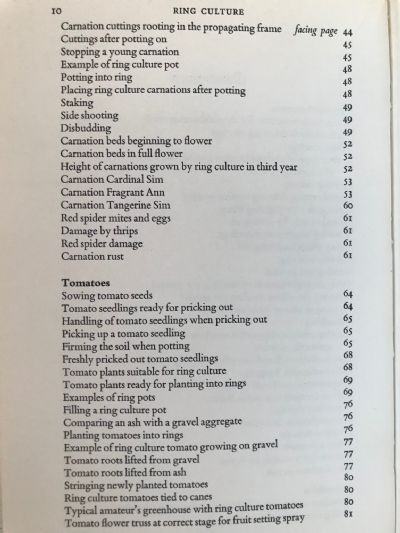 RING CULTURE: of Chrysanthemums Carnations and Tomatoes