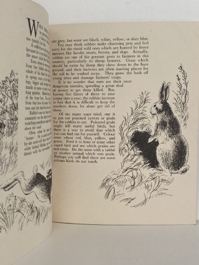 MAMMALS