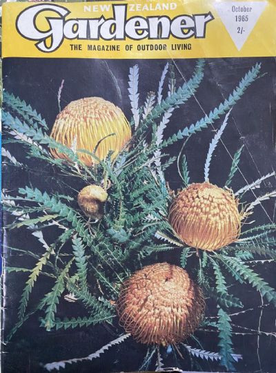 NEW ZEALAND GARDENER: The Magazine of Outdoor Living