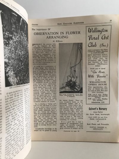 NEW ZEALAND GARDENER: The Magazine of Outdoor Living