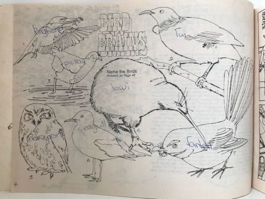 COBB & CO'S PIONEERING PUZZLES AND PASTIMES PICTURE BOOKS