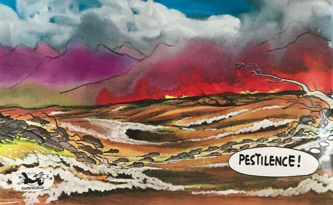 FOOTROT FLATS 10