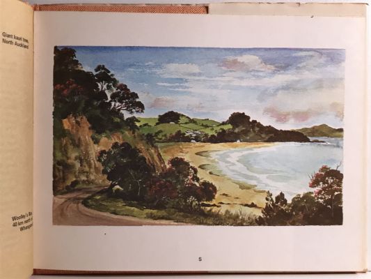 NEW ZEALAND IN WATERCOLOURS