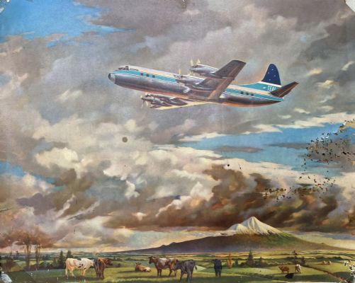 VINTAGE POSTER: TEAL Lockheed Electra ZK-TEA in flight 