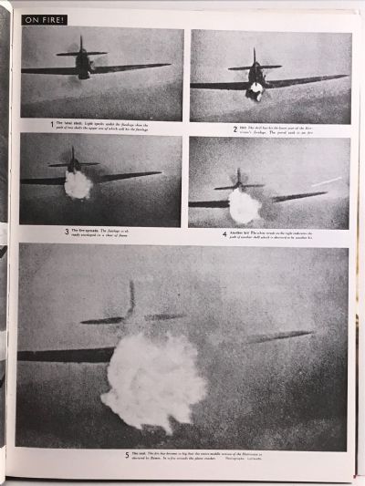 SIGNAL: Years of Retreat / Hitler's Wartime Magazine