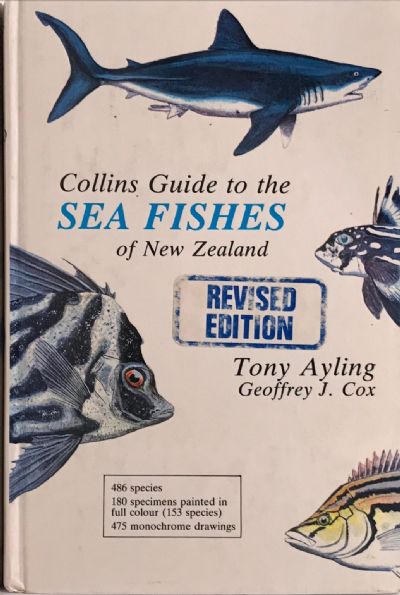 COLLINS GUIDE TO THE SEA FISHES of New Zealand 