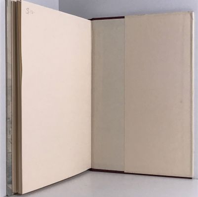 MAHOE LEAVES: A Selection of Sketches of New Zealand