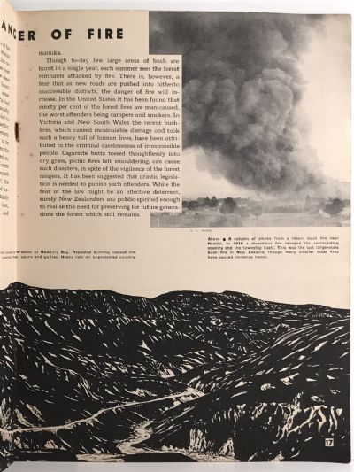 MAKING NEW ZEALAND: Pictorial Surveys of a Century, No.9 - THE FOREST