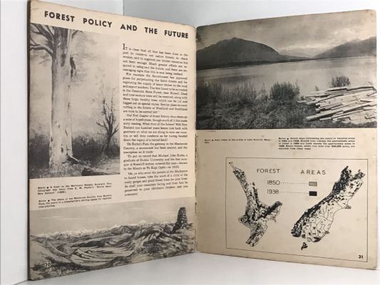 MAKING NEW ZEALAND: Pictorial Surveys of a Century, No.9 - THE FOREST